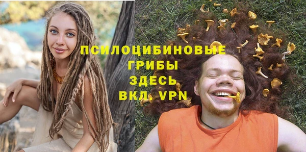 мдпв Щёлкино
