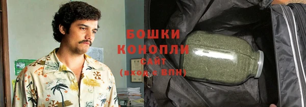 тгк Пересвет