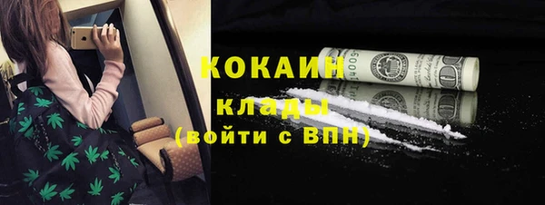 тгк Пересвет