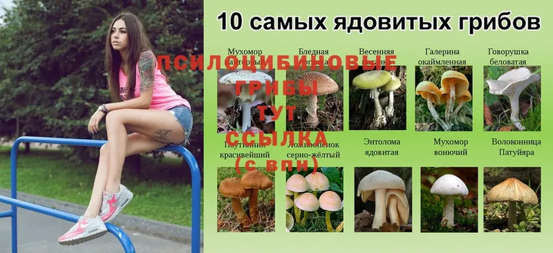 Галлюциногенные грибы Magic Shrooms  Семикаракорск 