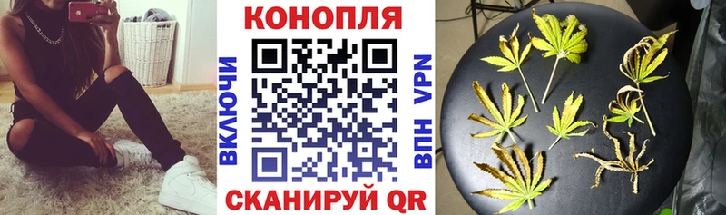 Шишки марихуана тримм  цена   Семикаракорск 